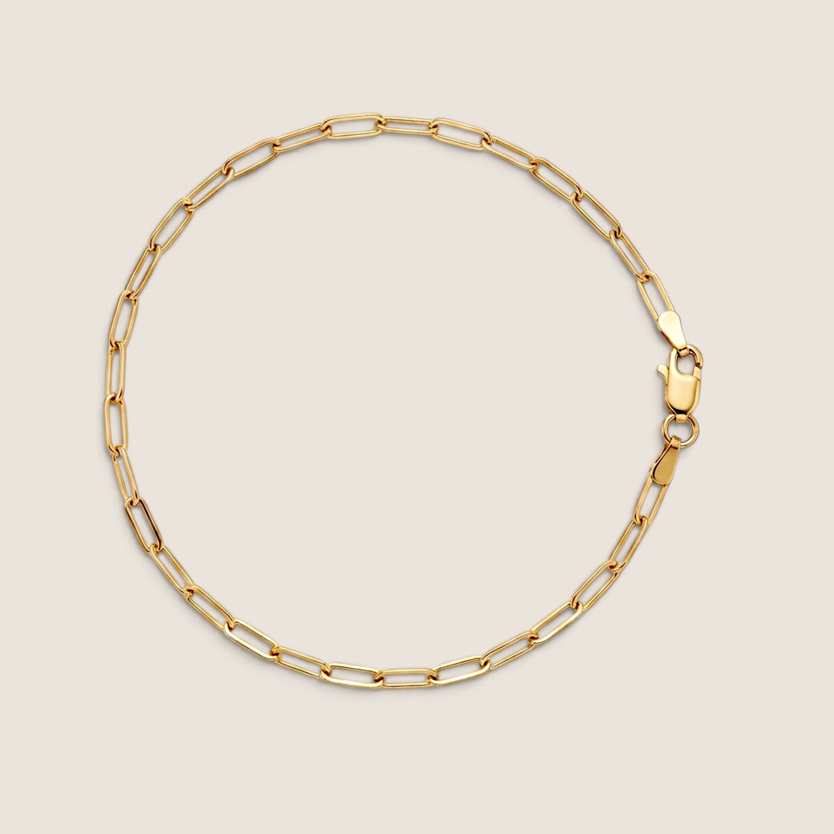 Yellow gold small-link paperclip bracelet arranged in a circle with the lobster clasp on the right, on a warm neutral background