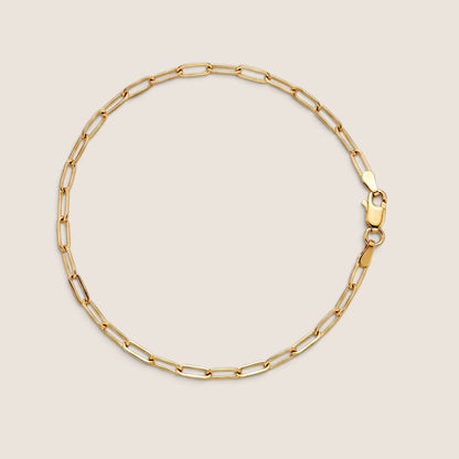 Yellow gold small-link paperclip bracelet arranged in a circle with the lobster clasp on the right, on a warm neutral background